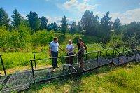 Общественность Наволок проинспектировала новую лестницу через овраг на ул.Ярославской