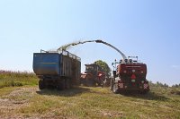 В Ивановской области выросли темпы заготовки кормов для животноводства