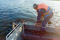 В Кинешме двое подростков пытались переплыть Волгу