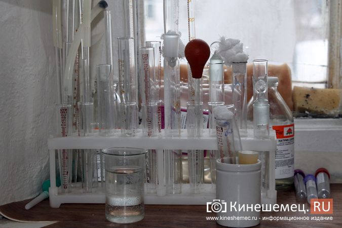 В Кинешемском районе обнаружен западный цветочный трипс