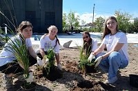 Волонтеры помогли в озеленении территории стрелки у Никольского моста