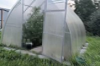 72-летний житель Кохмы выращивал на огороде коноплю