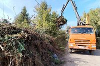 С 1 сентября за складирование веток на контейнерных площадках будут штрафовать