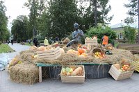 На фестивале «Кинешма купеческая» откроют пункт гуманитарной помощи участникам СВО