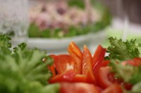 Учёт продаж в кафе: как превратить ежедневный хаос в управляемую прибыль