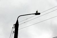 11 сентября Кинешму ждет масштабное отключение света