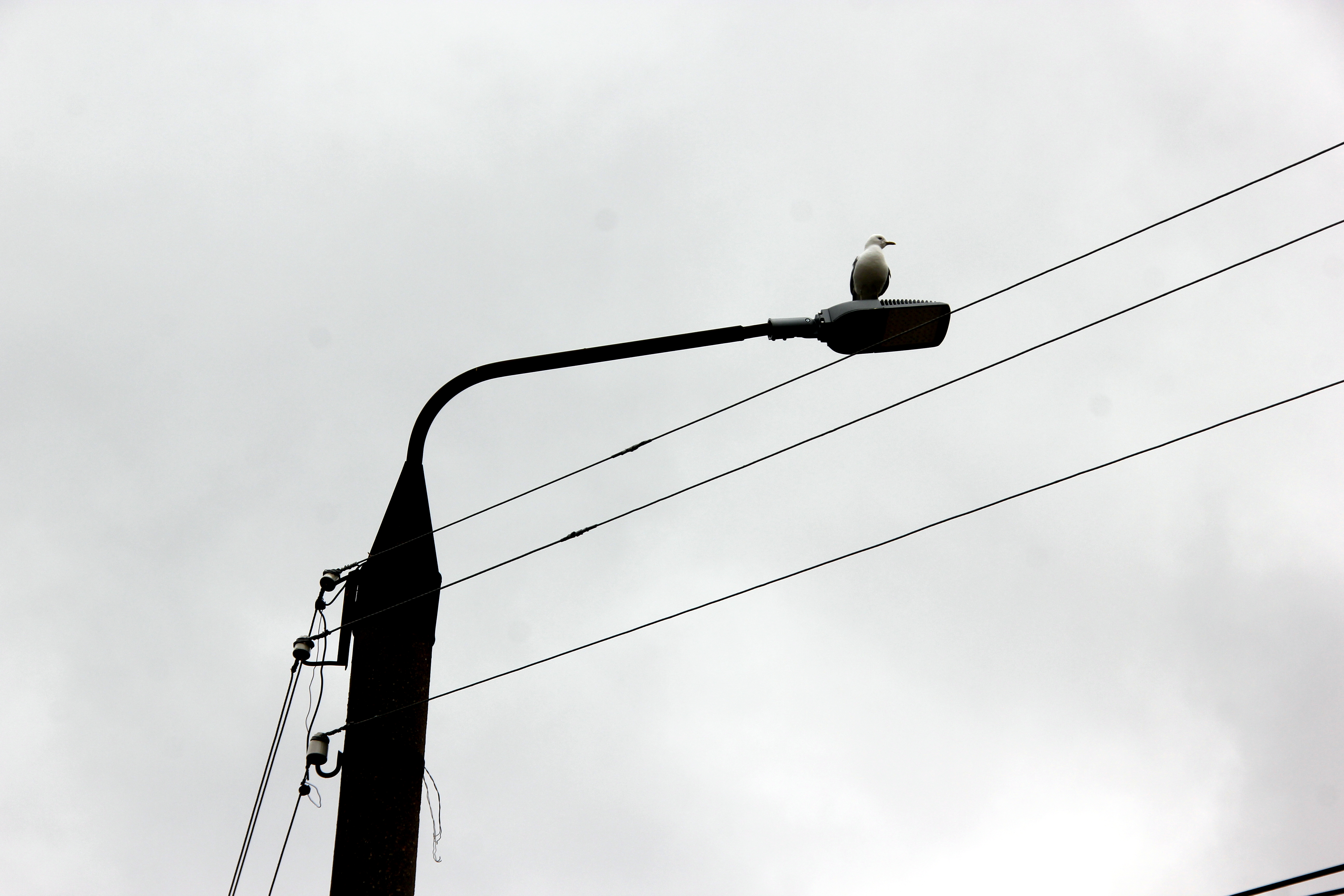 15 сентября на улице Дзержинского отключат свет