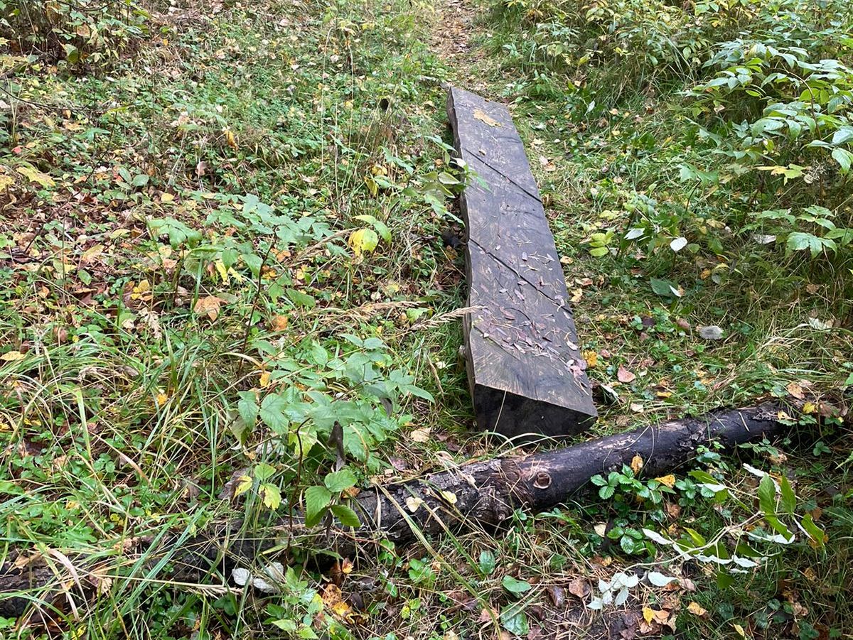 В центральном парке Кинешмы вандалы громят лавки, сделанные энтузиастом