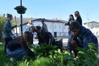 Более 12 тысяч жителей Ивановской области приняли участие в акции «Зеленая Россия»