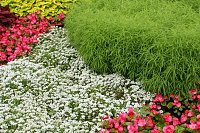 Дренаж участка: как защитить территорию от излишней влаги