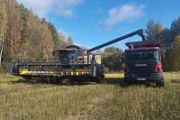 В Кинешемском районе завершается уборочная компания