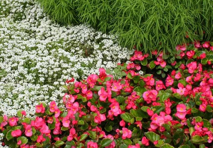 Комплексное благоустройство участков под ключ: как создать гармоничное пространство