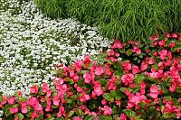 Комплексное благоустройство участков под ключ: как создать гармоничное пространство