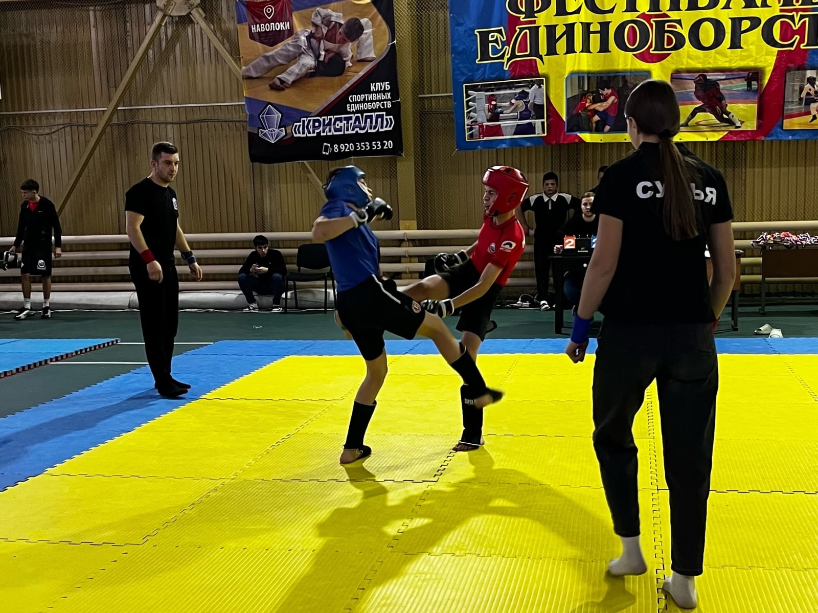 Кинешемцы стали призерами фестиваля единоборств в Наволоках