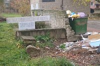 Жителей Кинешмы продолжают нести древесно-растительные отходы на контейнерные площадки