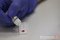 В Кинешме обнаружен труп лисы