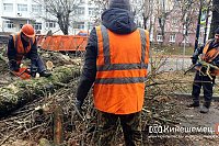 На улице Фрунзе выпилили аварийные деревья