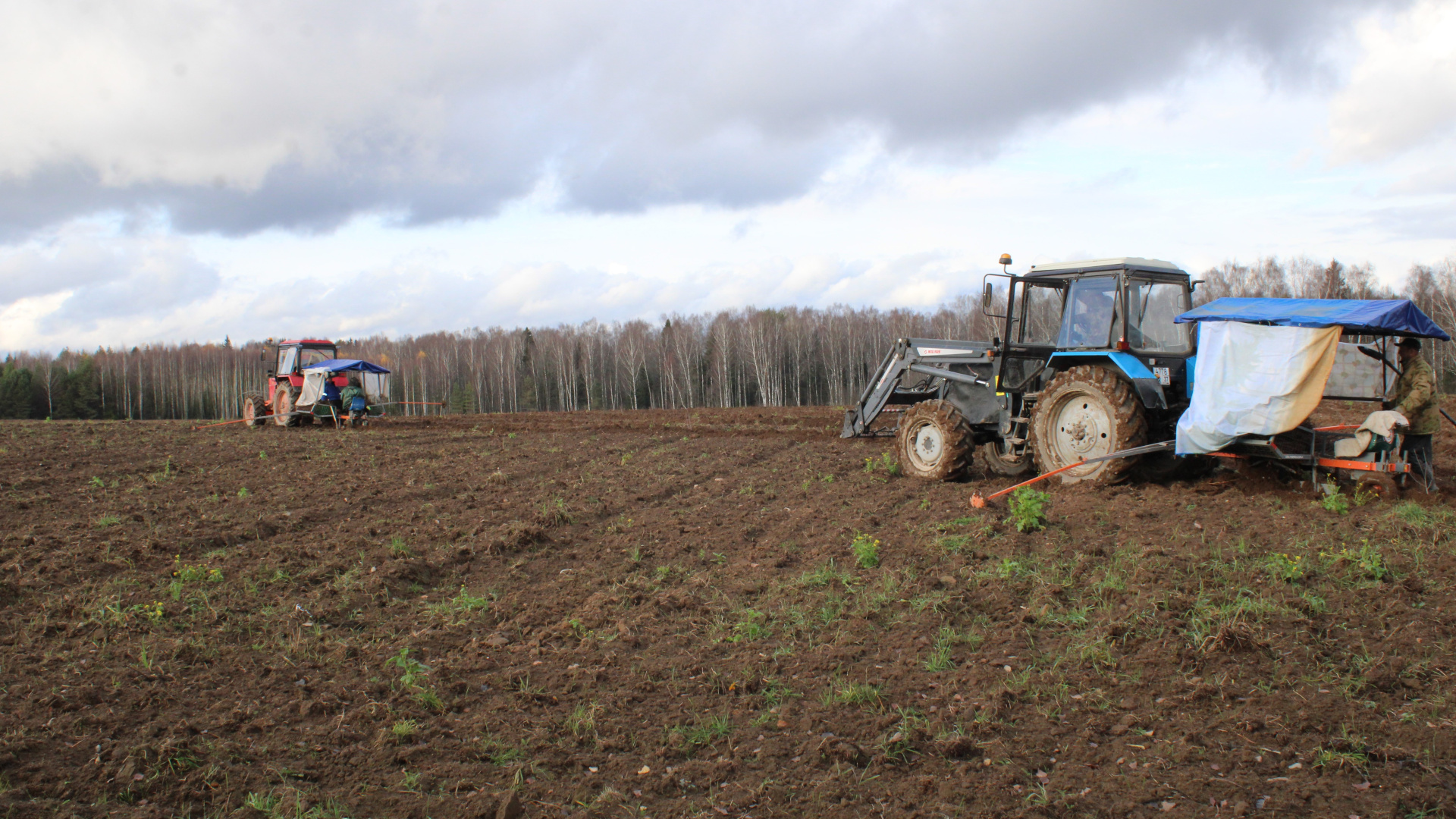 Площадь под плодово-ягодными культурами в регионе за 7 лет увеличилась более чем в 25 раз