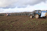 Площадь под плодово-ягодными культурами в регионе за 7 лет увеличилась более чем в 25 раз