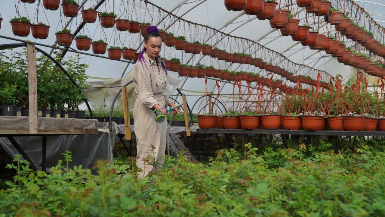 Почти 700 млн рублей господдержки получили аграрии Ивановской области с начала года