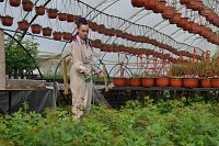 Почти 700 млн рублей господдержки получили аграрии Ивановской области с начала года