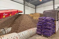 Урожай картофеля в регионе в 2025 году превысил 19 тыс. тонн