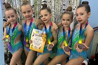 Кинешемские «Кнопочки» взяли бронзу на турнире по художественной гимнастике