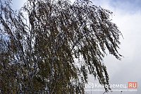 В ближайшие сутки Ивановскую область накроют ледяной дождь и мокрый снег