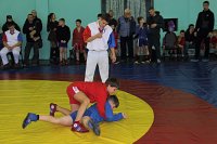 В Кинешме состоялся турнир городов России по самбо