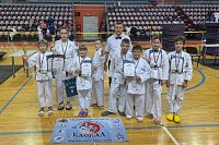 Каратисты Кинешмы поднялись на пьедестал «Кубка города Иванова»