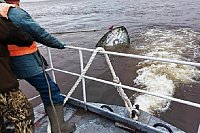 Спасатели несколько дней ищут рыбака с перевернувшейся на Волге лодки