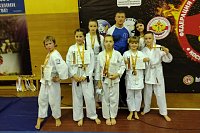 Каратисты Кинешмы завоевали награды первенства Костромской области