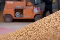 В Ивановской области собран рекордный урожай масличных культур