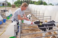 Рост производства сельхозпродукции в фермерских хозяйств составил более 20%