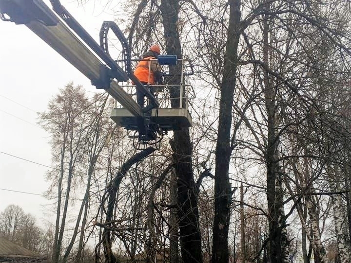 В Кинешме продолжается выпиловка аварийных деревьев