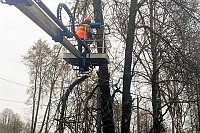 В Кинешме продолжается выпиловка аварийных деревьев