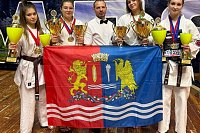 Кинешемцы завоевали награды на турнире по киокушин в Пензе