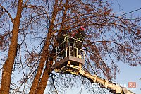 17 декабря на нескольких улицах Кинешмы отключат свет