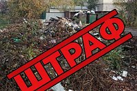 Жителя Кинешмы оштрафовали за складирование веток на мусорной площадке