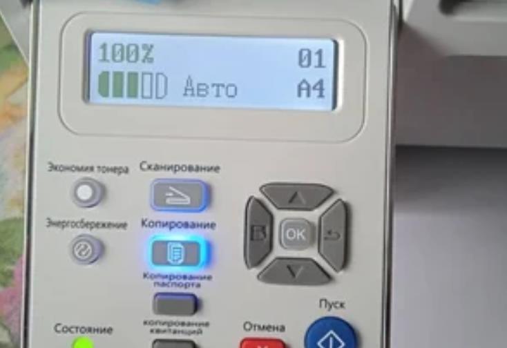 Ошибки при выборе лент и этикеток для принтера: как избежать проблем и потерь