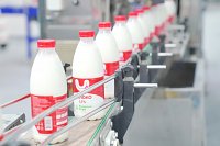 В Ивановской области почти на 15% выросло производство молочной продукции