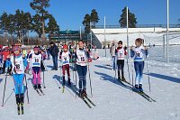 Жителей и гостей Кинешмы просят не портить лыжную трассу накануне «Весеннего марафона»