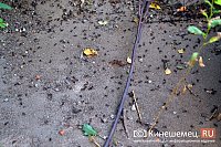 Какие услуги оказывает СЭС