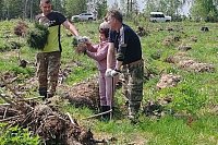 Кинешемский район присоединился к Всероссийской акции «Сад памяти»