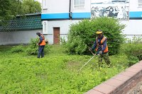 В Кинешме приступили к покосу травы