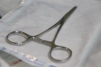 Как избежать проблем с вросшим ногтем: советы специалистов
