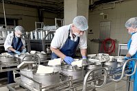 Производство сливочного масла в регионе выросло более чем вдвое