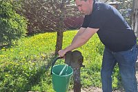 Развеиваем мифы о колонках