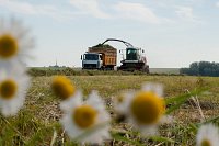В регионе стартовала кормозаготовительная кампания