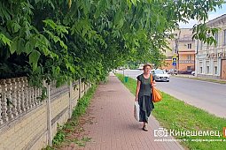Заросли над тротуаром в центре Кинешмы скоро накроют и дорогу